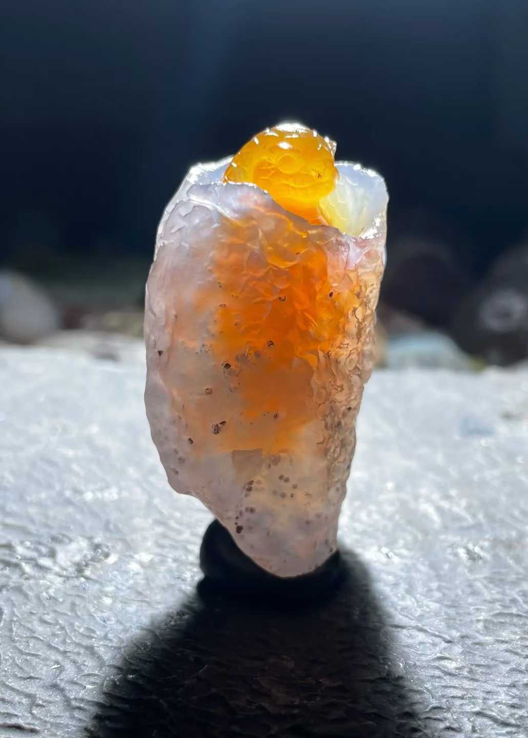 A carved snake emerging from a pale stone shell